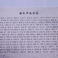 評論圖片 8
