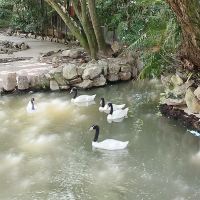 評論圖片 7