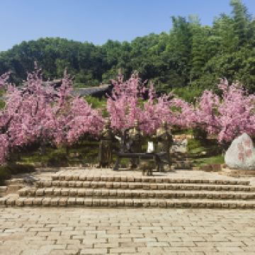 評論圖片 4