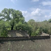 評論圖片 1