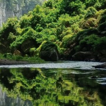 評論圖片 2