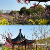 評論圖片 3