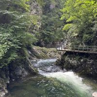 評論圖片 3