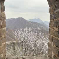 評論圖片 2