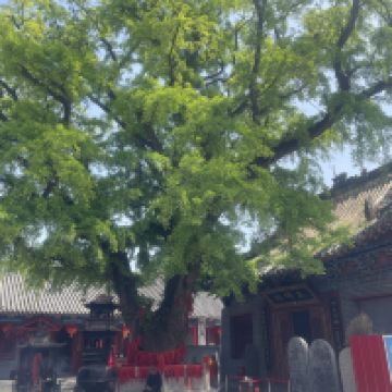 評論圖片 2