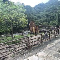 評論圖片 5