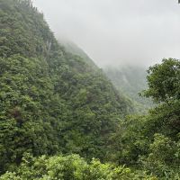 評論圖片 2