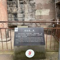評論圖片 5