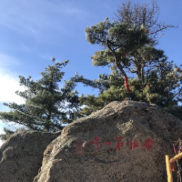 評論圖片 6