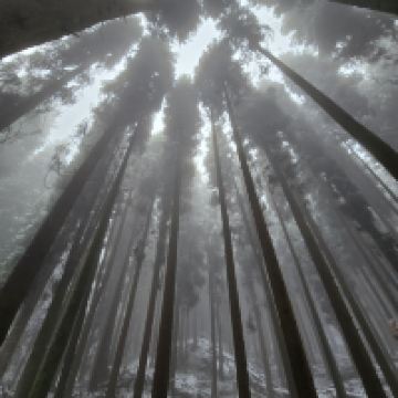 評論圖片 6