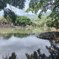 評論圖片 4