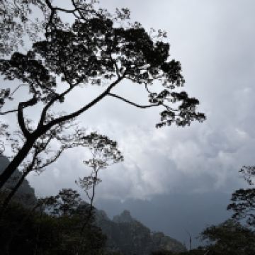 評論圖片 9