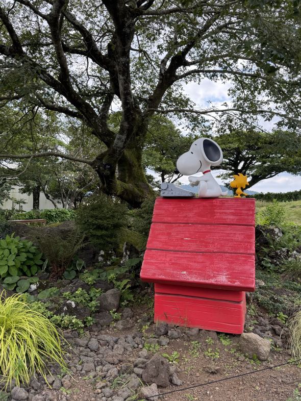 Snoopy Garden Tickets [2026] - Promos, Prices, Reviews & Opening