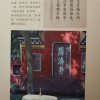 評論圖片 2
