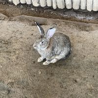 評論圖片 4
