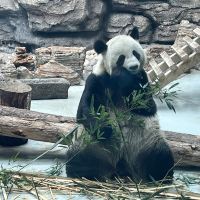 評論圖片 4
