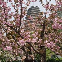 評論圖片 3