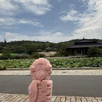 評論圖片 6