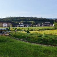 評論圖片 1