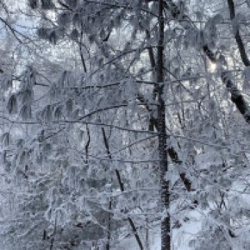 評論圖片 3