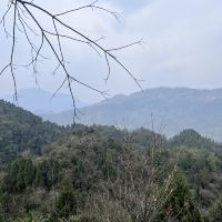 評論圖片 3