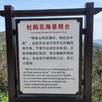 評論圖片 3