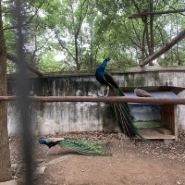 評論圖片 1