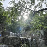 評論圖片 4