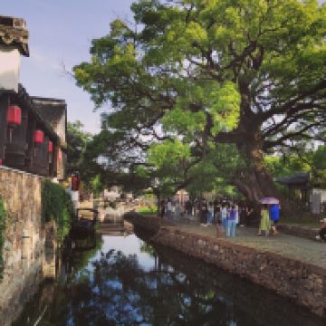 評論圖片 1