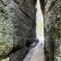 評論圖片 2