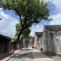 評論圖片 4