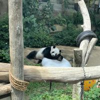 評論圖片 2