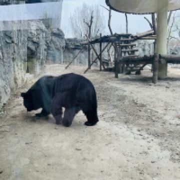 評論圖片 2