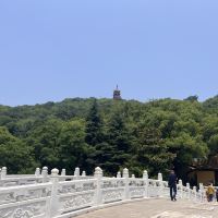 評論圖片 3