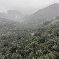 評論圖片 3