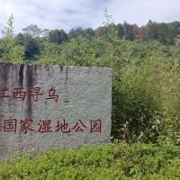 評論圖片 7