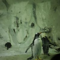 評論圖片 1