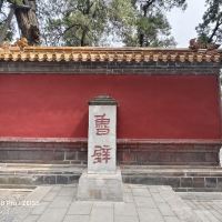 評論圖片 4