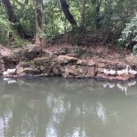 評論圖片 9