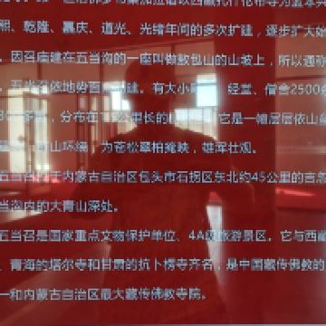 評論圖片 1
