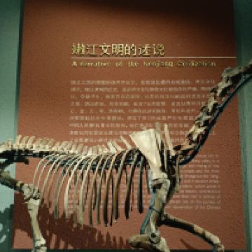 評論圖片 1