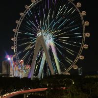 評論圖片 6