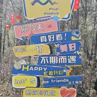 評論圖片 4