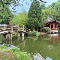 評論圖片 3