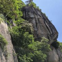 評論圖片 5