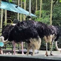 評論圖片 3