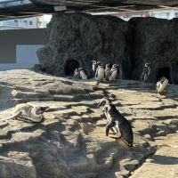 評論圖片 1