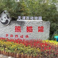 評論圖片 4