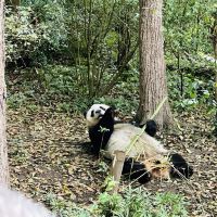 評論圖片 1
