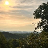 評論圖片 7